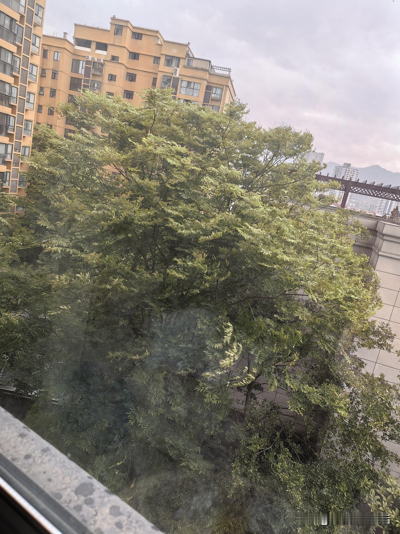 好讨厌的楼上邻居哦！水又不是什么值钱的东西，一到夜深人静的时候，总能听到她家卫生