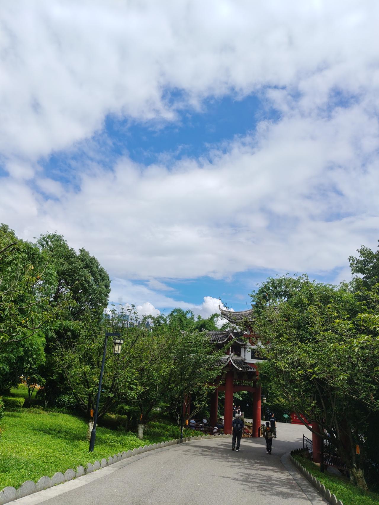 老登股民是怎么一步一步割肉老登股，转向小登科技股去高位接盘的。老登们刚才是很坚