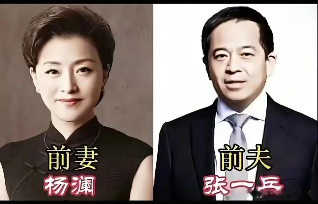 放手也是一种美德。杨澜离婚后双方各自幸福,好聚好散也是一种圆满王丽云离婚后双