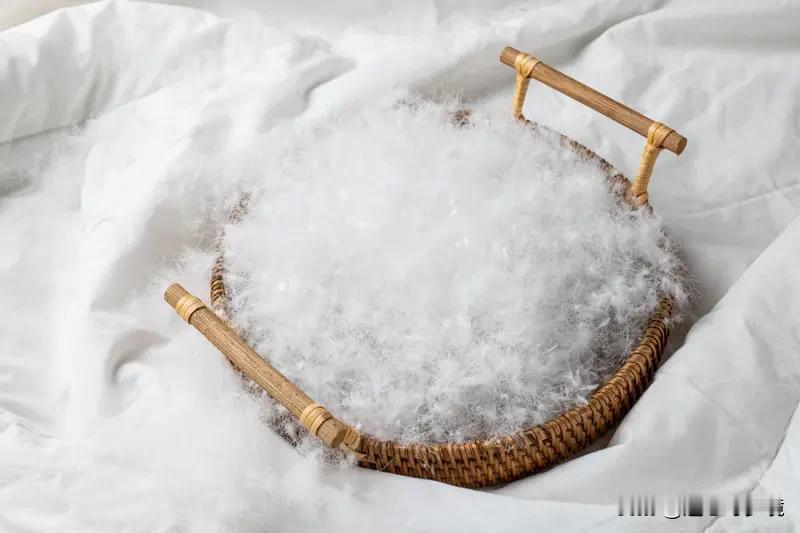 300元以下难买真羽绒服吗300元以下难买真羽绒服吗？还真有点难。2025年羽