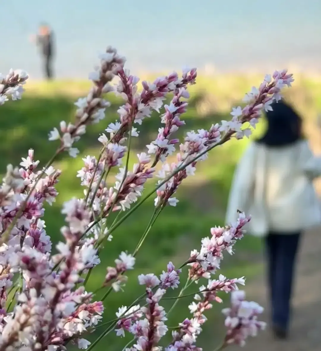 湖南一位56岁的退休大姐，丈夫走了三年，社区合唱队里被一位61岁的老哥...