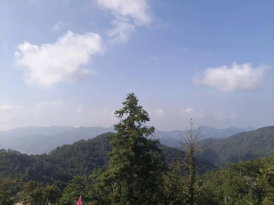 人到中年，和谁都觉得隔着一层膜。不想凑热闹，不想硬聊天，连微信提示音都嫌吵。有时