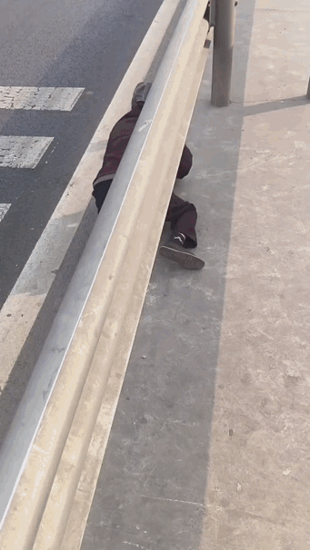 这个老人不是摔倒的。她是自己趴下去，从护栏底下钻过去的。视频是3月29号被人