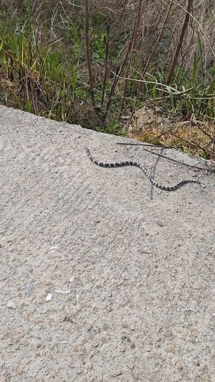要是要掉，宝宝，我想要一副手套。一副手套，我把它黑了，它放在嘴里，碰它头肯定会被