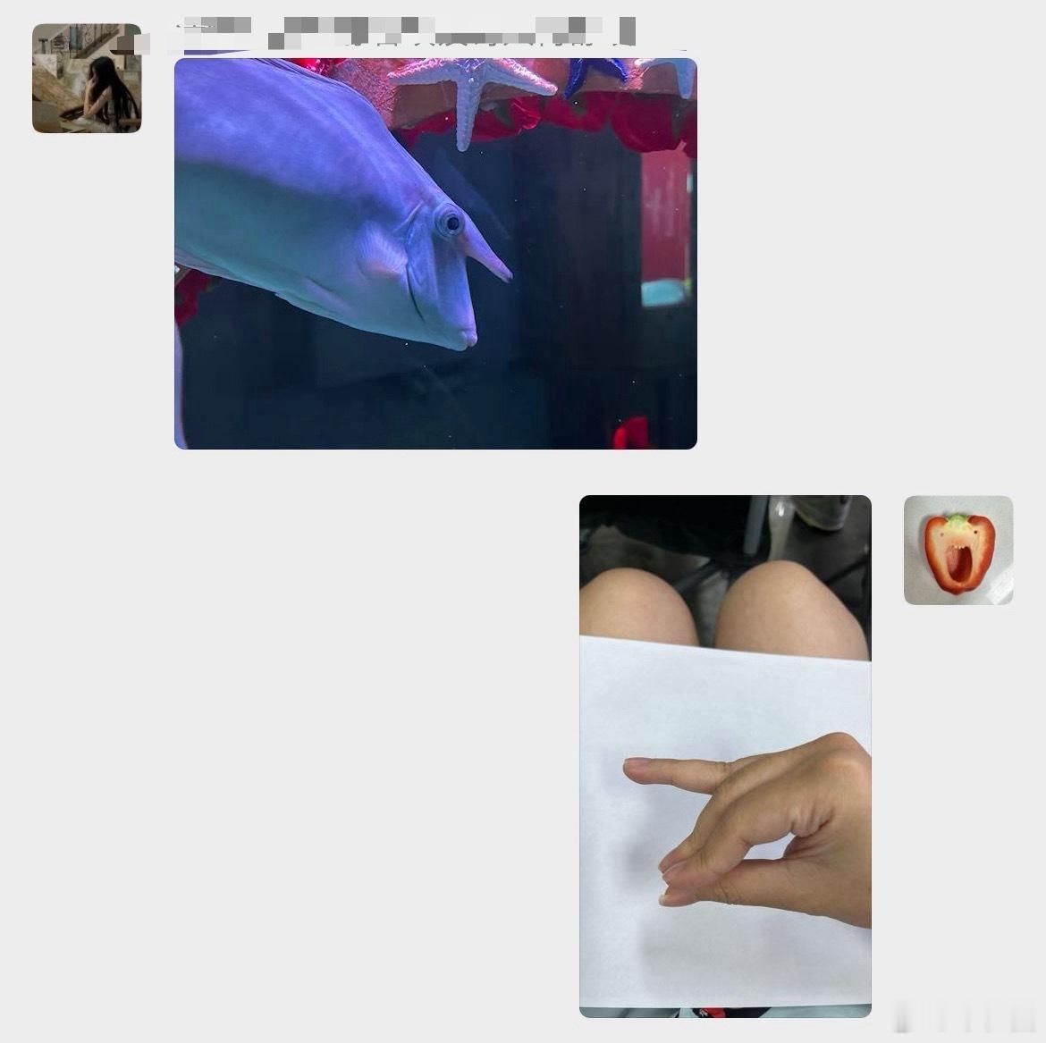 有没有人懂我的幽默感