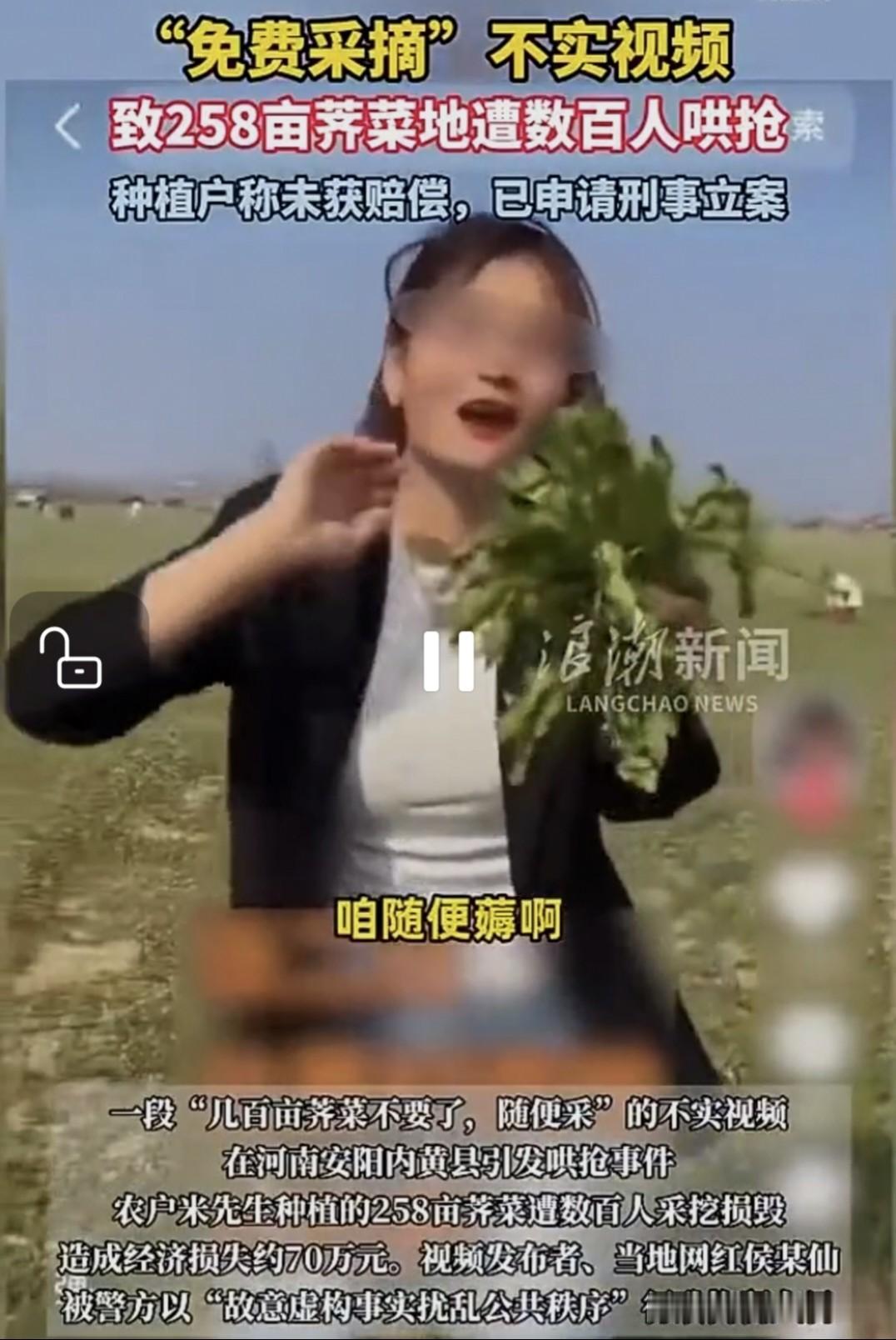 “这种网红太可恨！”河南安阳，男子租地种了约258亩荠菜，眼看快收了，一熟人告诉