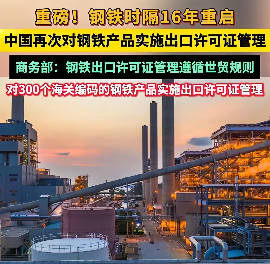 国际市场听到这个消息，手里的钢材报价单突然变得沉甸甸。过去二十年，中国钢铁像潮水