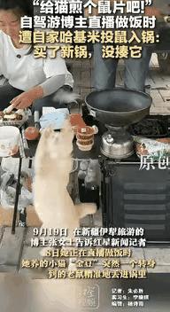 “还是大意了！”新疆伊犁，一女子直播做饭时，自家猫咪突然转身，把抓到的老鼠精准丢