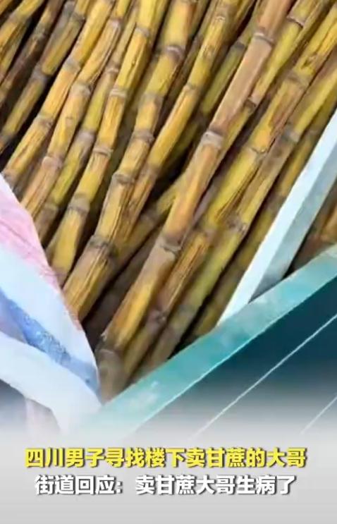 这事儿太暖了！四川大哥卖的甘蔗都快成“干菜棒棒”了，还有人专门发视频全网找他，就