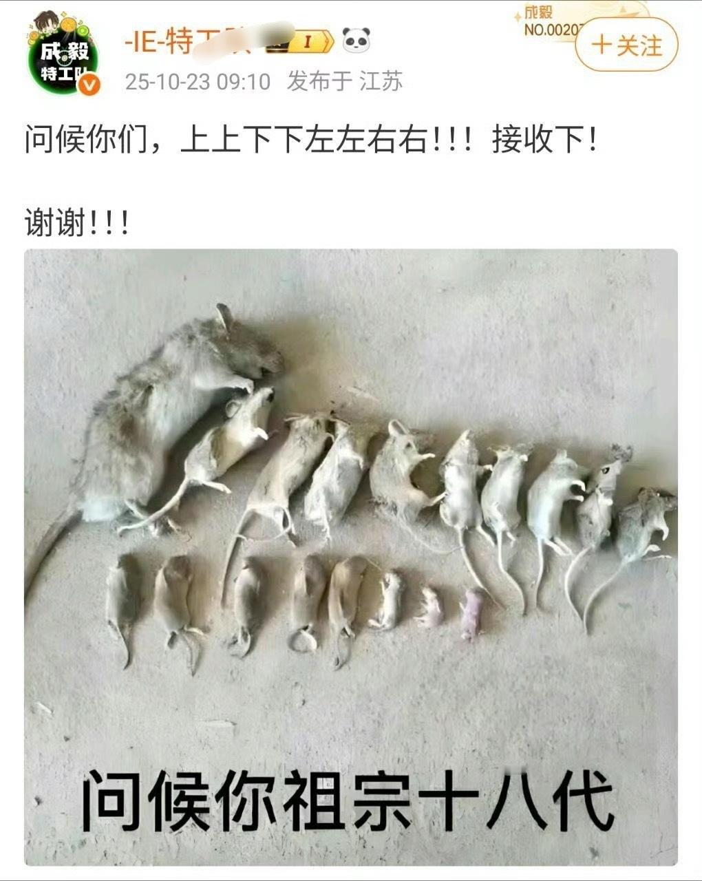 太好笑了🤣​​​