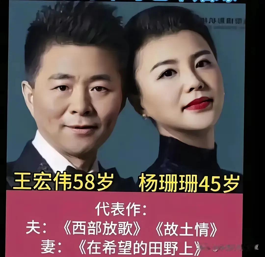 刘和刚的老婆。王宏伟的老婆。王丽达的老公。梦鸽的老公。王秀芬的老公。王