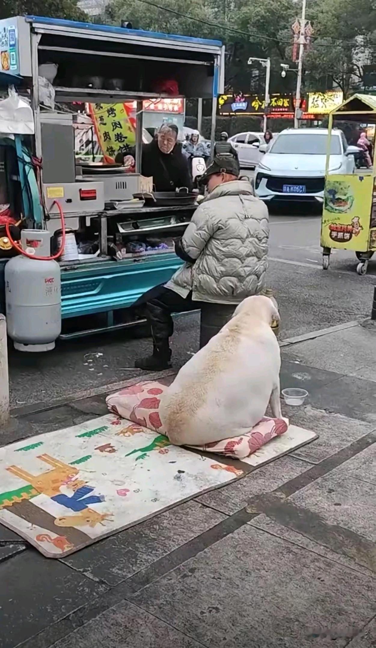 他家卖的东西一定很好吃，看看这狗子就知道了