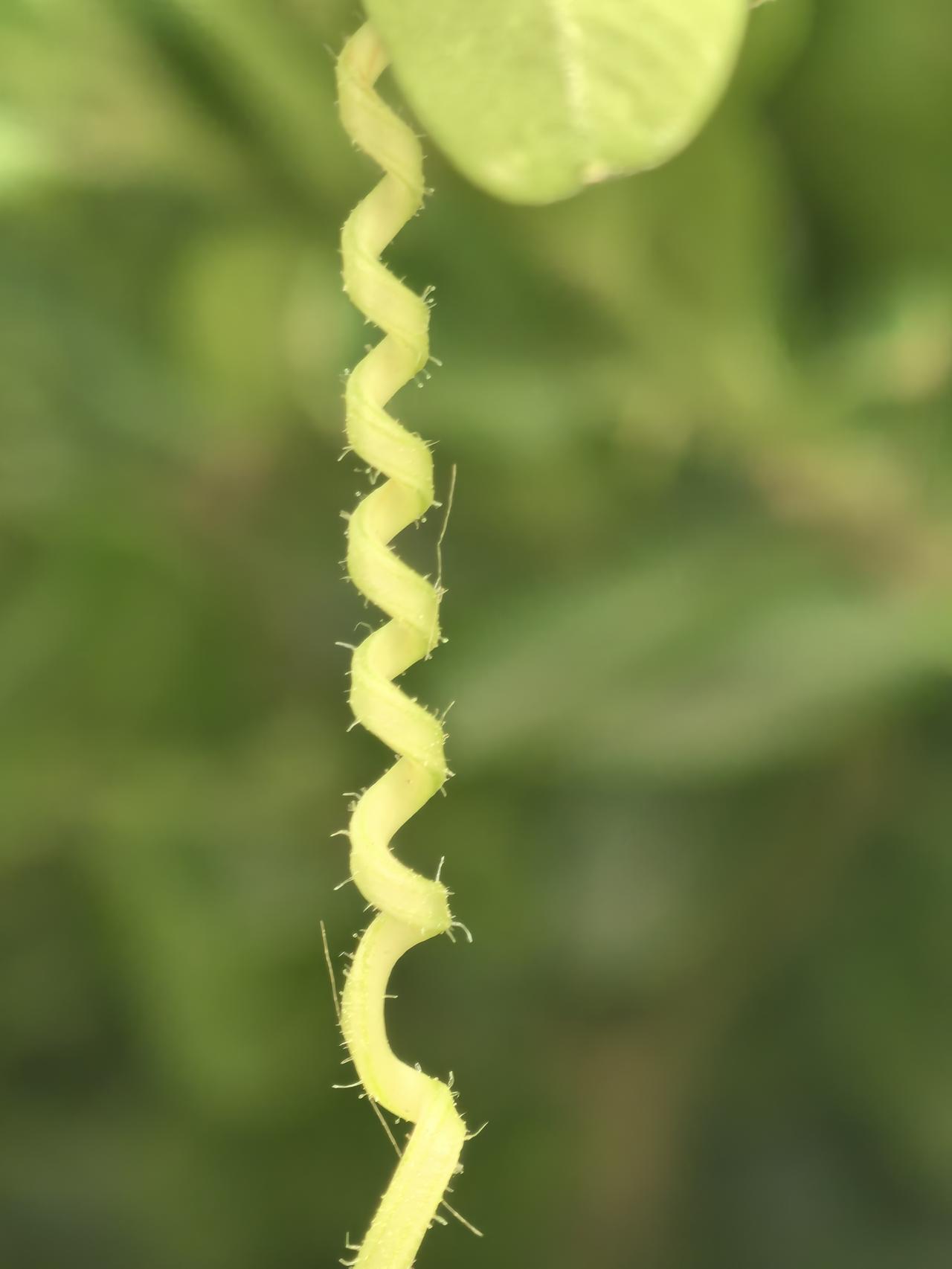 你有哪些随手拍的比较满意的照片
