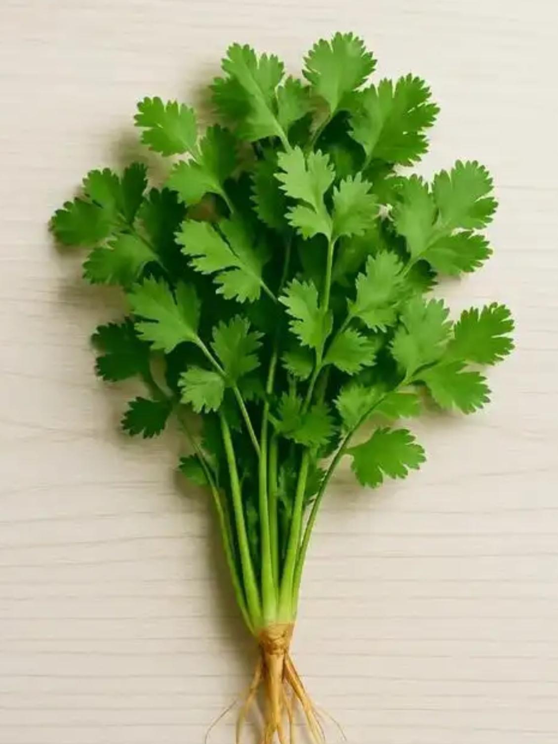 我弟问我咋能知道他对象给没给他戴香菜色帽子？我说拿她手机到她闺蜜群发一句话就行