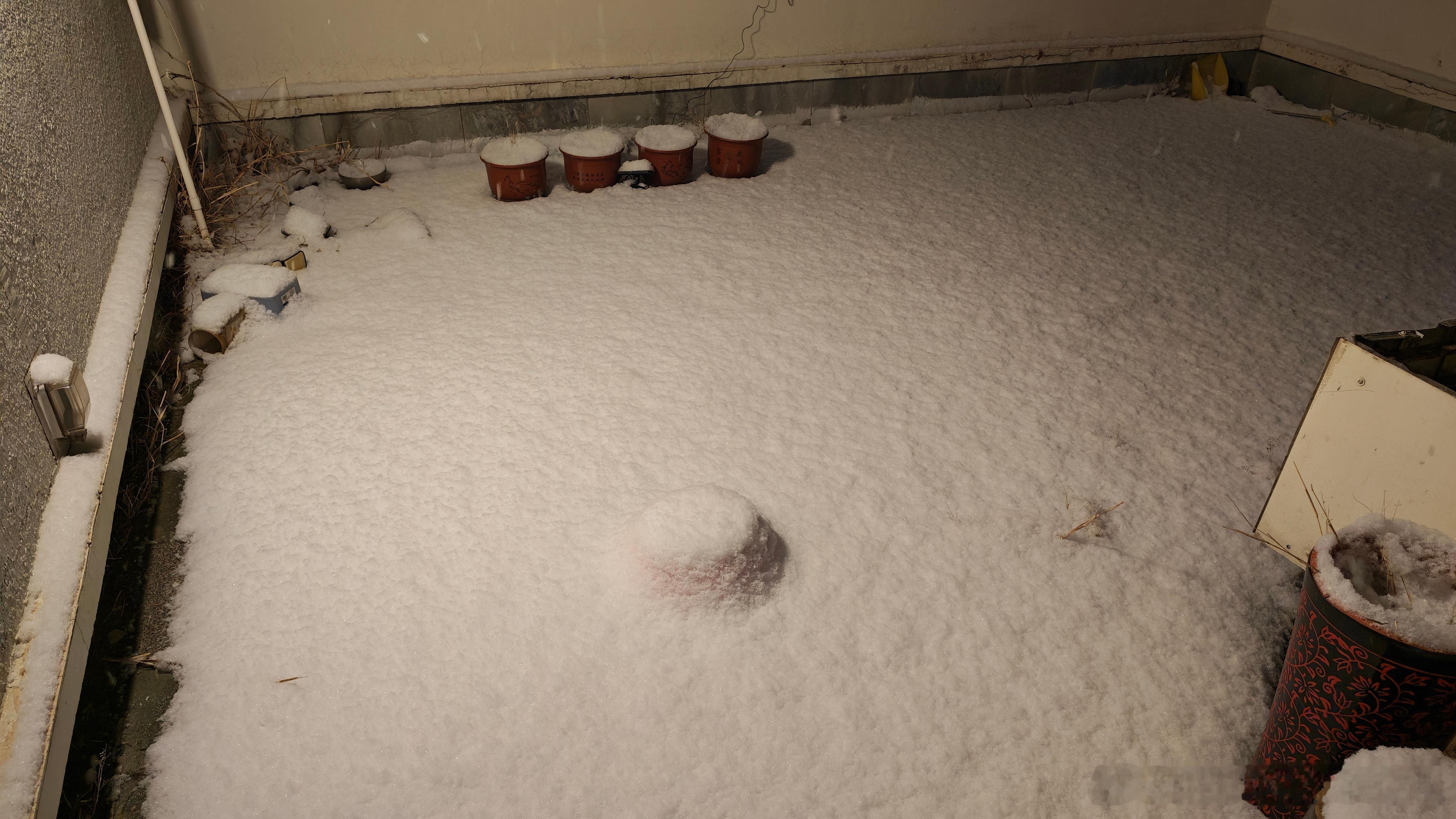 突然想起来，明天早晨要送家人去机场……这雪现在就已经这么厚了，你们说我开哪辆车合