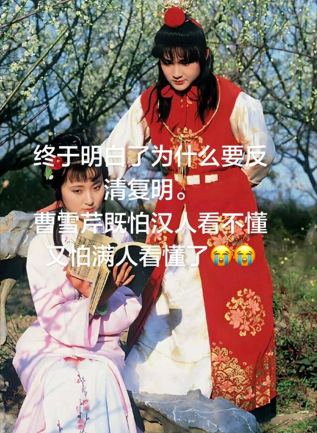 一直不明白石头记一不讲情情爱爱的小说，为啥在满清或被列为禁书。现在终于懂了红楼