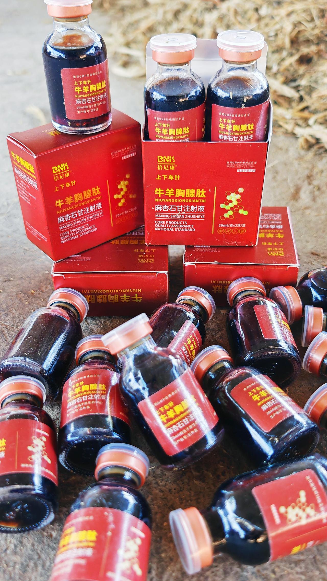 养羊人农村养羊牛羊养殖