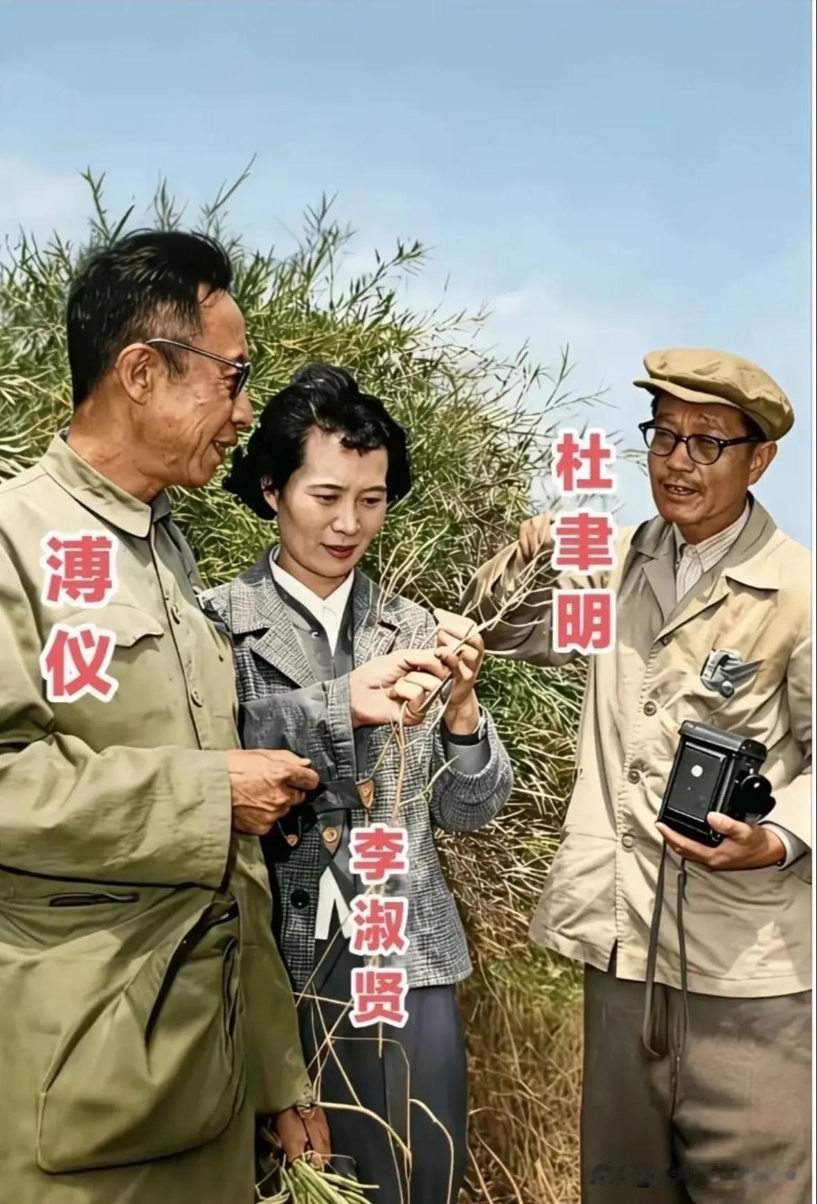 图片中这几位人物分别是，末代皇帝溥仪和他的妻子李淑贤以及杜聿明。从图片中可以