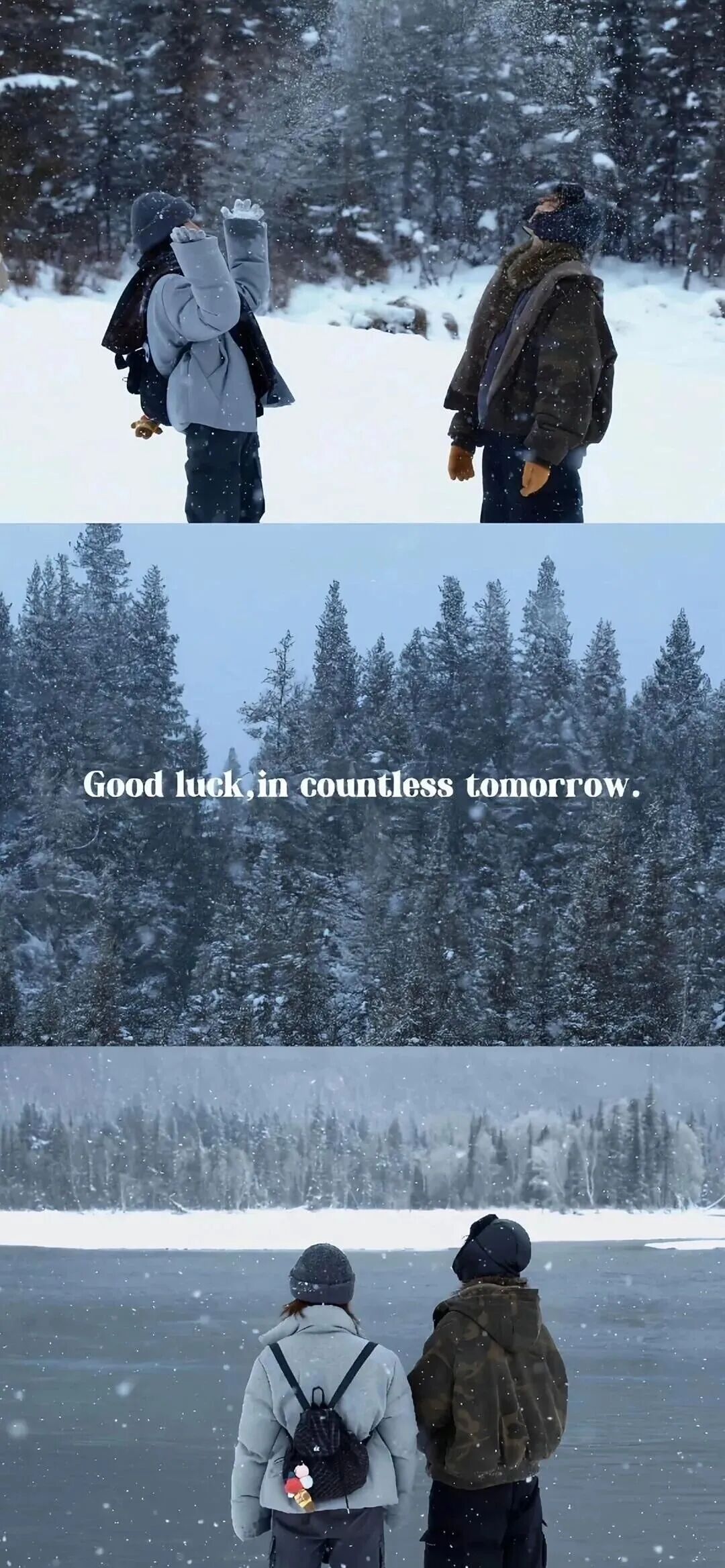 𝘀𝗵𝗮𝗿𝗲｜𝙒𝙚𝘾𝙝𝙖𝙩｜wallpaper｜壁纸分享｜全