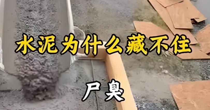 为什么水泥封不住尸臭味，但是葡萄树下却能完美的封锁住味道？ 可以看下国内侦破