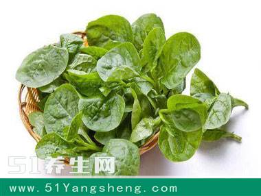 农村田间这种菜, 只有南方才有, 常吃这种菜, 补钙效果比钙片好!