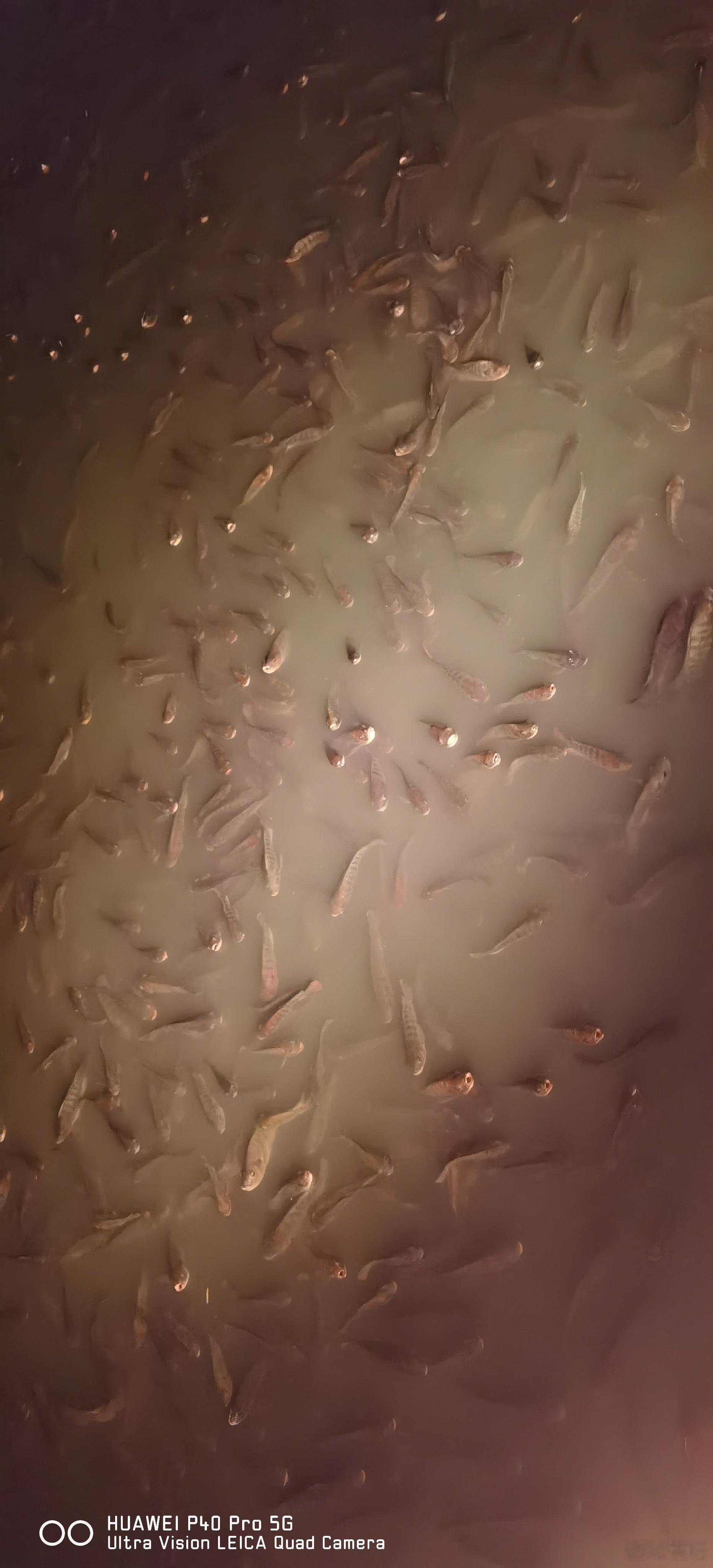 夜钓，今天找到好地方了