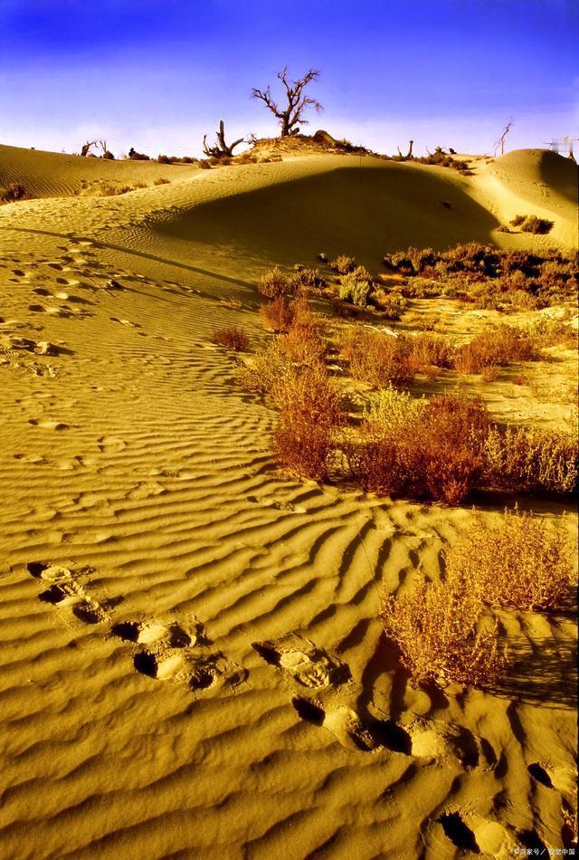 天蝎座最致命的一点就是边界感太强了她们好像跟谁都能聊的起来，哈哈大笑，当你觉