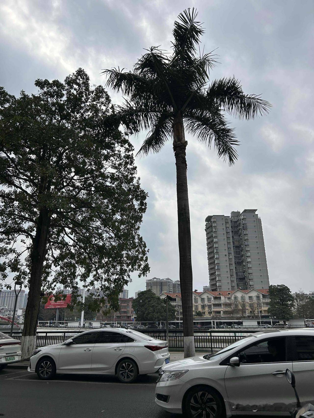 其实我更鼓励人们要理性以及看重利益，而不只是单纯拥有重情重义。重情重义本