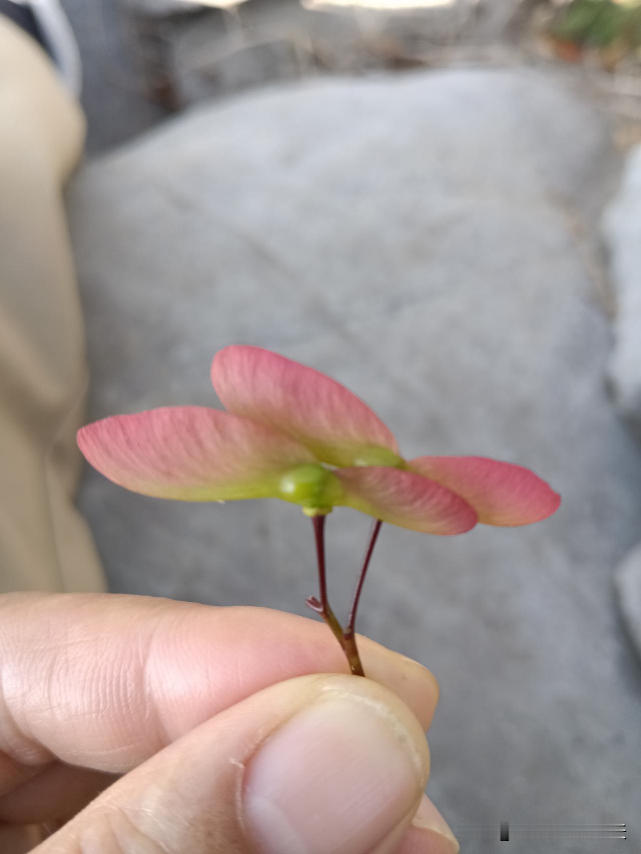 二、不碰多余的人情。三、不碰无谓的争吵。四、不碰超前的消费。五、不碰伤人的