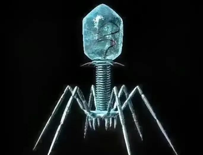 一直怀疑人类就是某个高级生物的产品，不然这么复杂精确的的系统，靠进化能这么巧合？