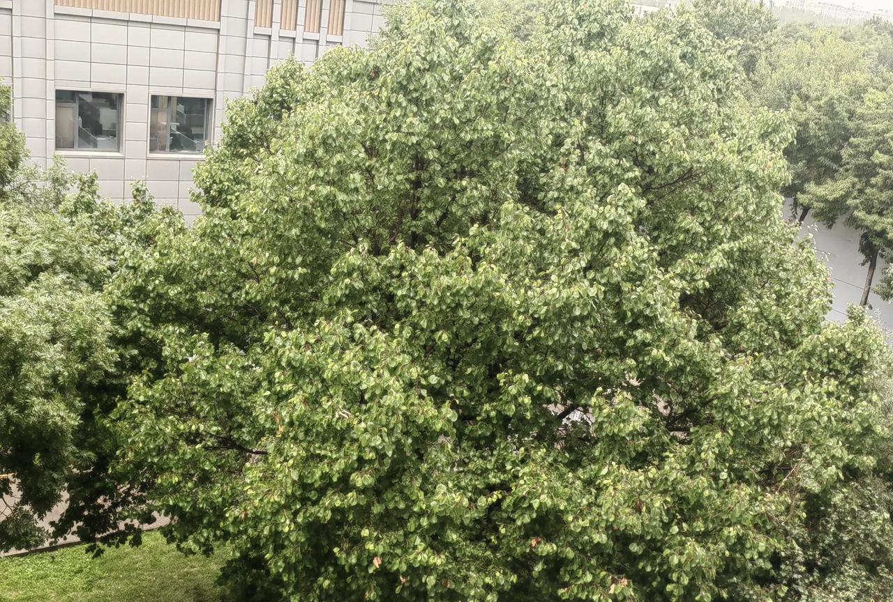 9月2日，银川下起了大雨，从早上7点开始就打雷下雨，一直到了9点半左右，大概有十