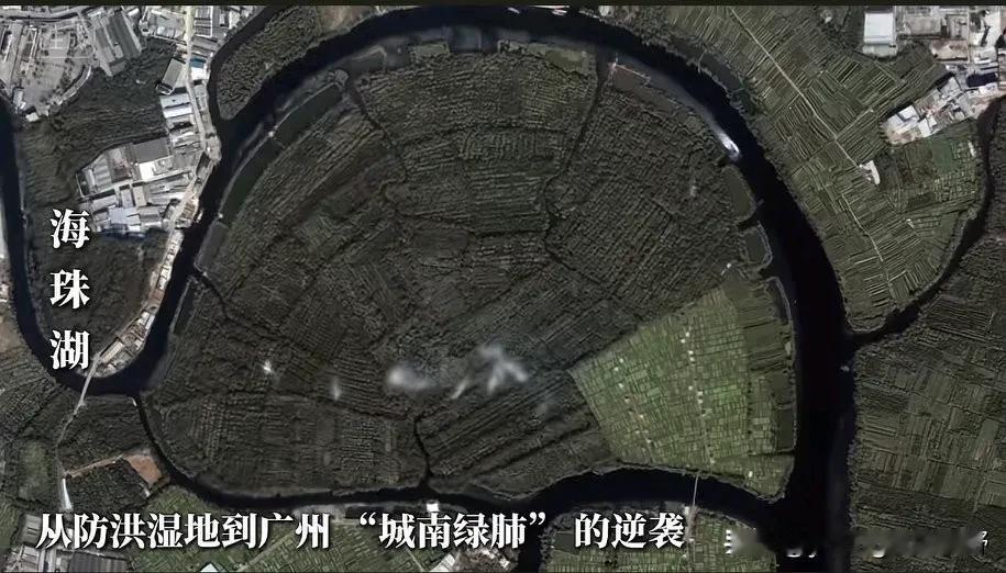 广州海珠湖卫星地图的变化。原来以前海珠湖只是一片绿地湿地，后期是人工挖出来的一个