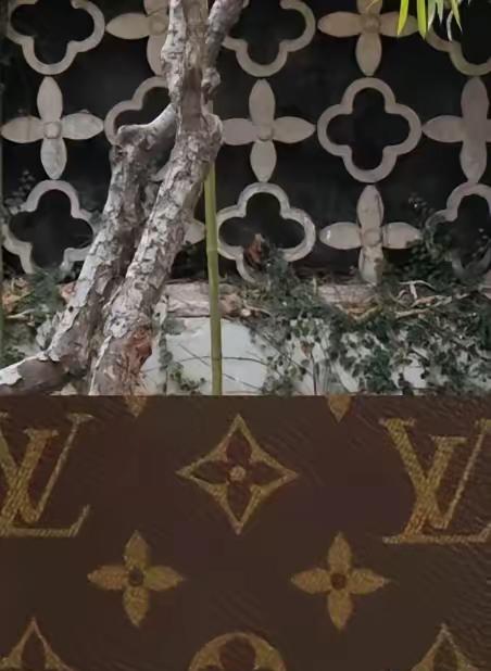 LV胜诉获赔1030万LV刚赢了官司拿了1030万赔偿，第一时间就想到苏州拙