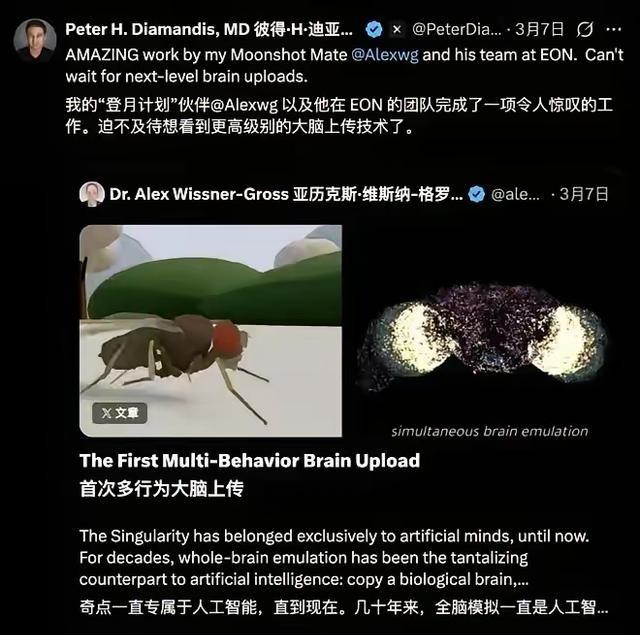 马斯克炸锅！人类离数字永生，只差一只苍蝇？最近一条视频被马斯克疯狂转发：一只果