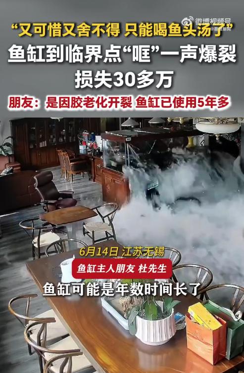 鱼缸爆裂损失30万名贵鱼鱼缸炸了30万名贵鱼变鱼头汤当事人家中摆放一
