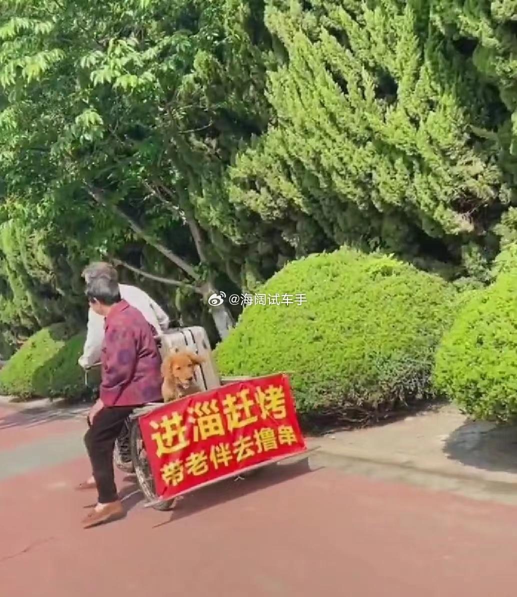 淄博烧烤这个暑假咋样啊？？？人气旺不旺啊？？？