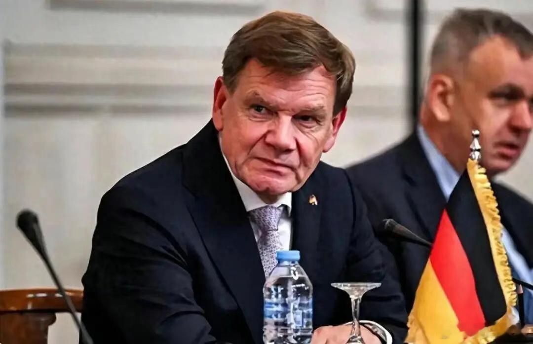 难怪德国外长破防，美媒：稀土管控要求德国企业提交敏感数据最近，德国外长瓦德富尔