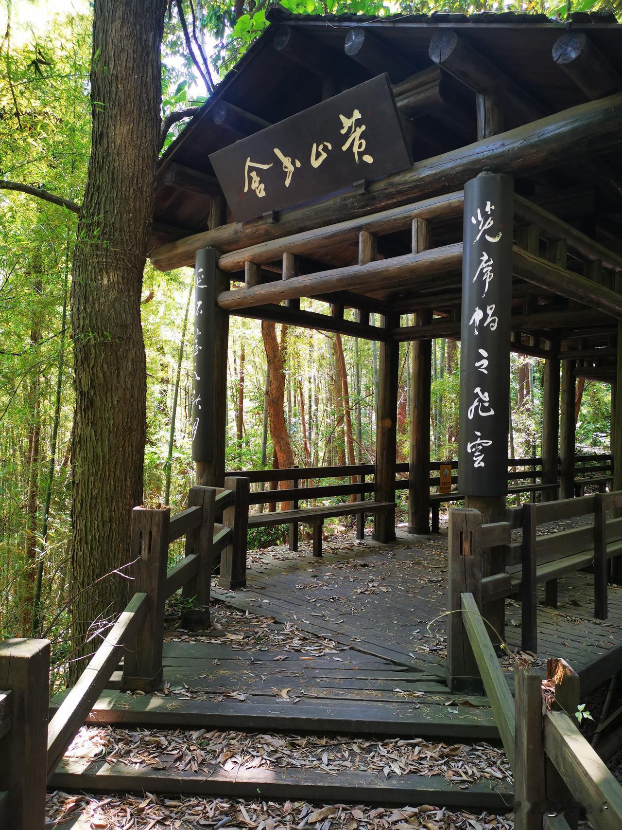 初夏徒步于山中微风轻起见年久小亭有落叶层层林间有鸟儿鸣叫仔细聆听