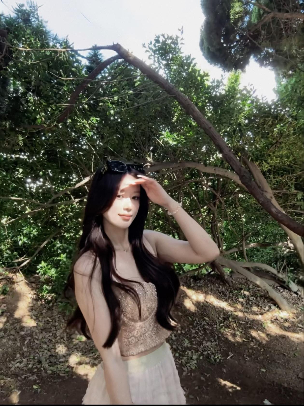 树影婆娑，美不胜收！