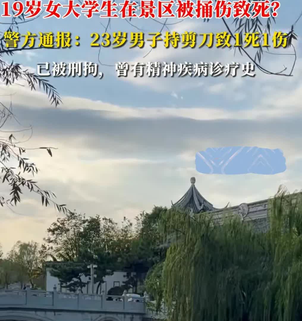 人在景区玩，飞来横祸！网传2025年8月10日下午，江西南昌青云谱八大山人梅