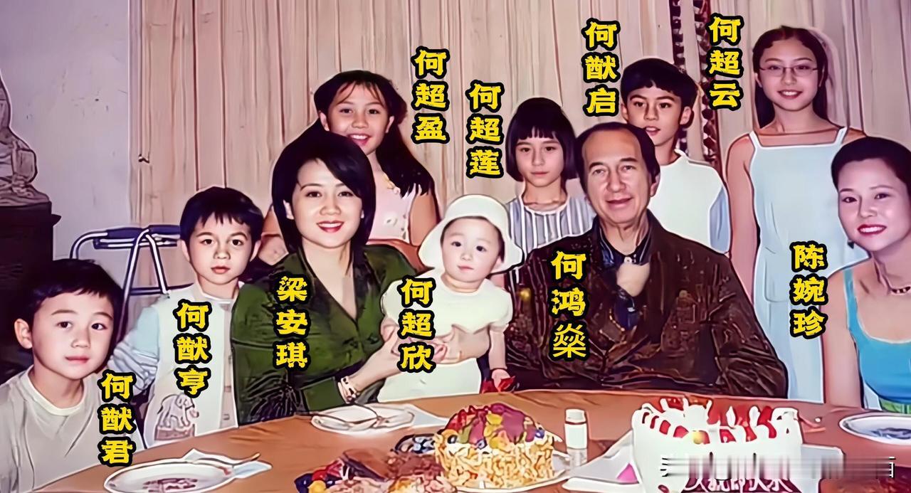 赌王何鸿燊和梁安琪看着好有夫妻相，梁安琪皮肤特别白，头发乌黑，身材性感迷人。从照