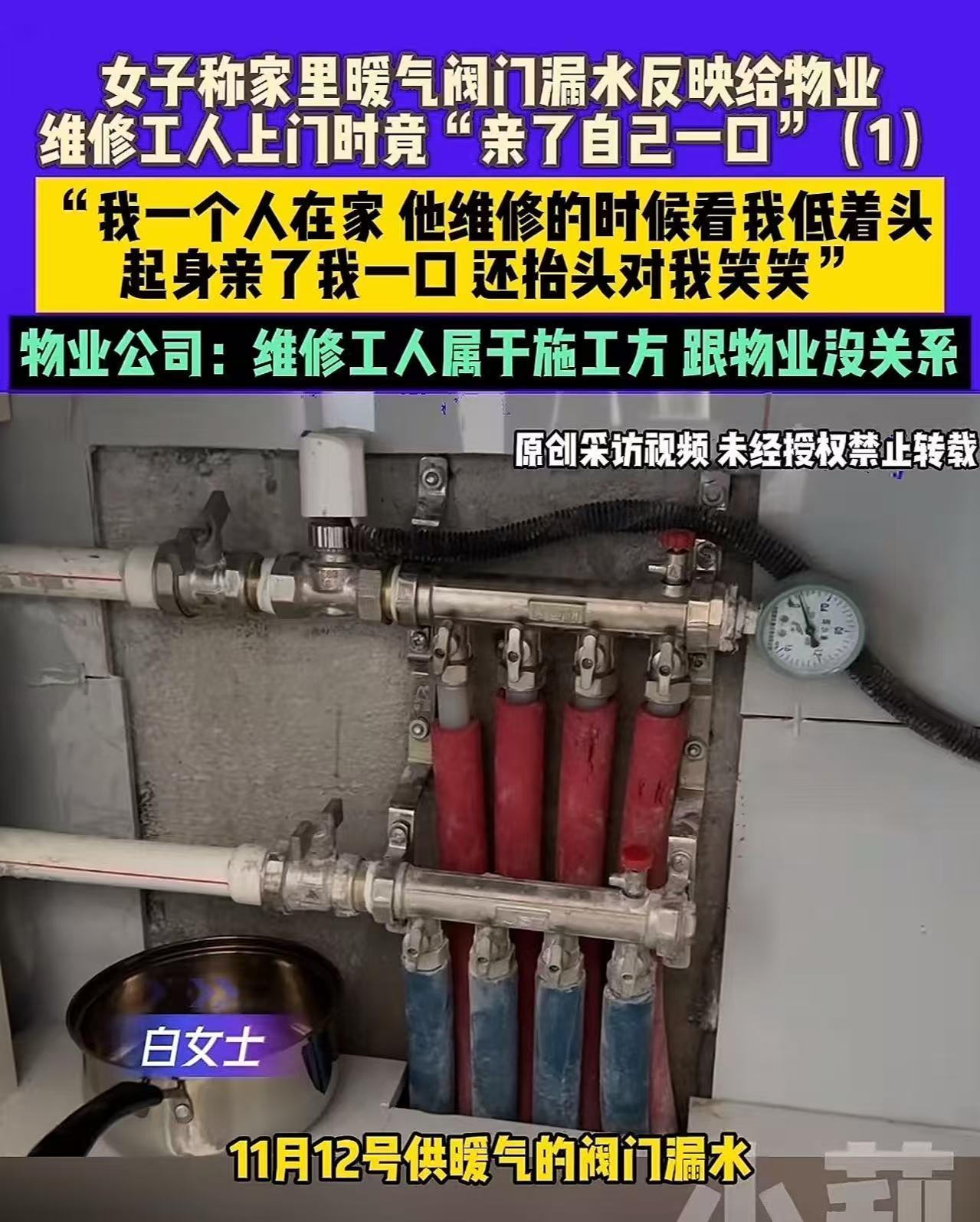 河南郑州，女子家里暖气坏了，让维修师傅上门维修，结果师傅看她一个人在家，突然亲了
