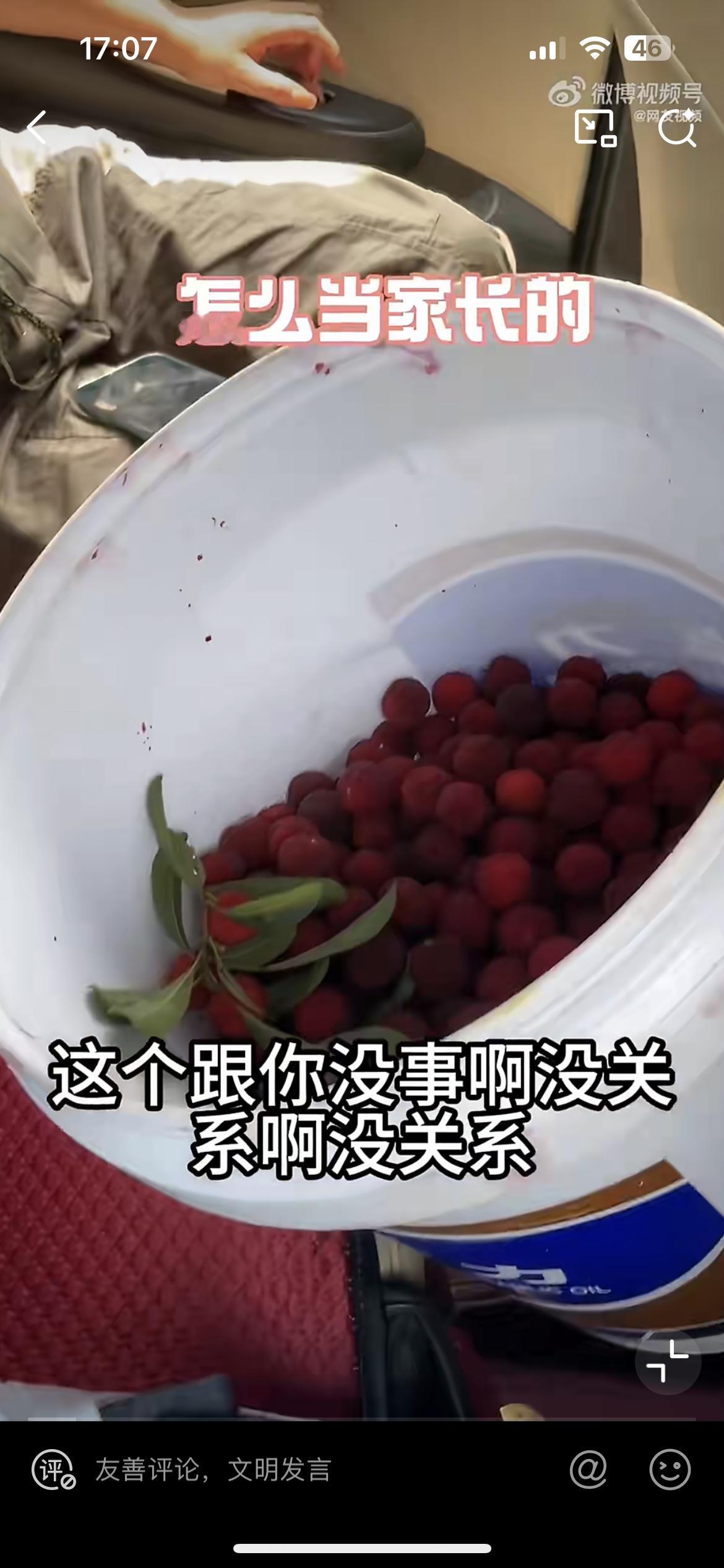 六一儿童节，湖南一对父母带着孩子搞节目，原来是驾车跑到人家的杨梅园搞0元购，