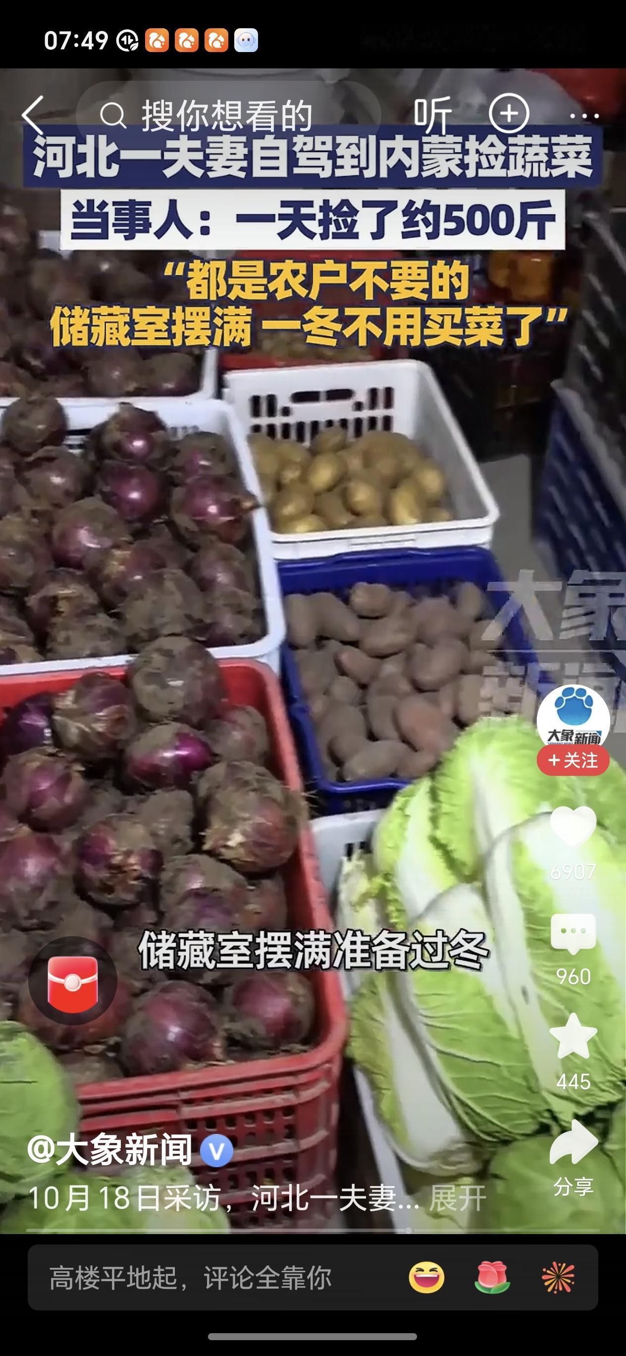 夫妻自驾到内蒙古捡回500斤蔬菜近日河北一对夫妻自驾到内蒙古游玩，发现地里有许多