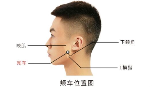 颞下颌关节紊乱病中医针刺疗法