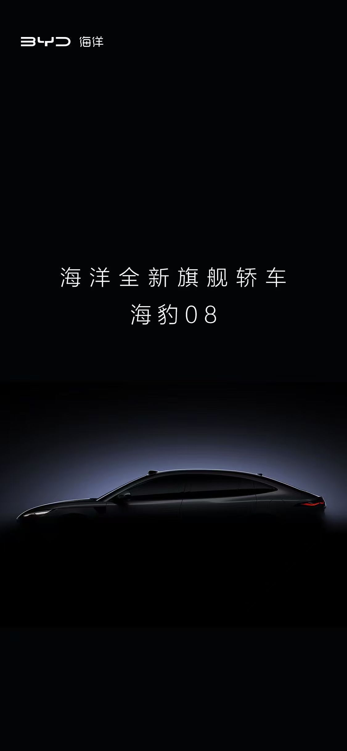 昨天比亚迪海洋网官宣即将要发布海豹08和海狮08了，我估计海狮08会像比亚迪唐，