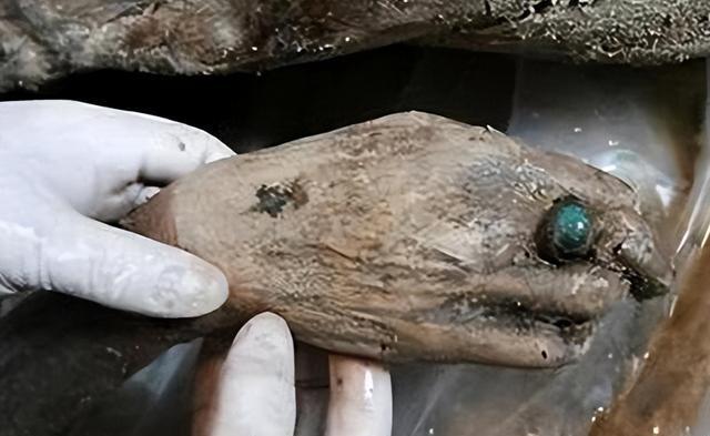 1994年4月14日，当荆门市博物馆的考古人员从泥坑中挖出那具战国女尸时，在场所