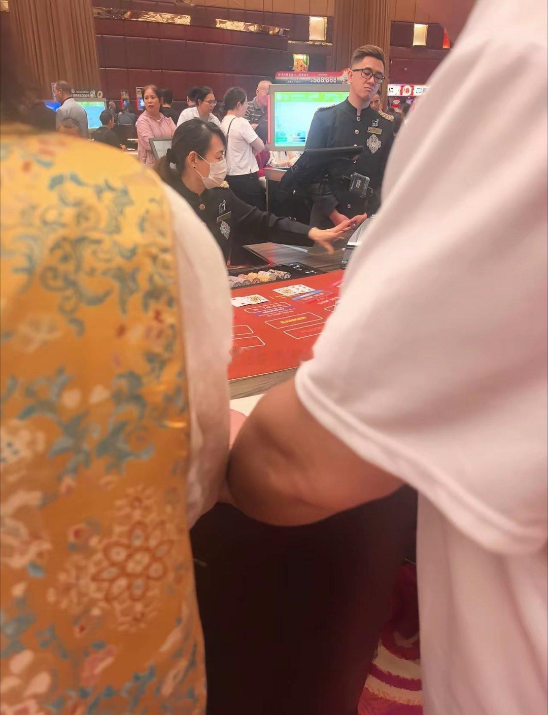 逛遍澳门才知，性感荷官在线发牌都是骗人的带着2老2小走遍澳门半岛和氹仔的各大酒店
