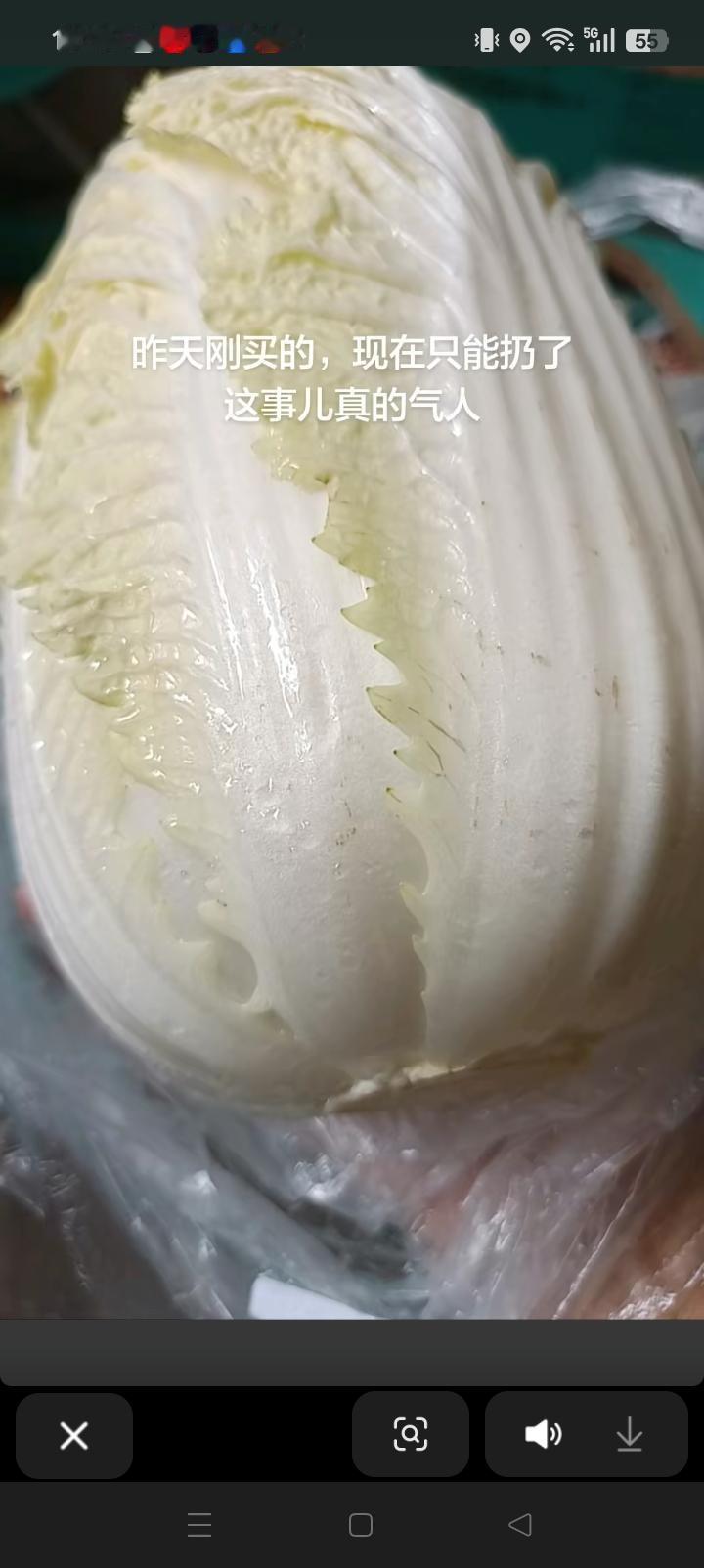 看了白菜事件的新闻，昨天买的白菜只能扔了！我有个疑问：会不会