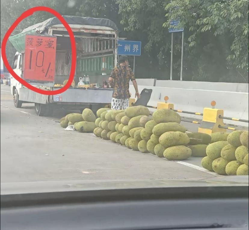 10元一个菠萝蜜，贵不贵？​​​